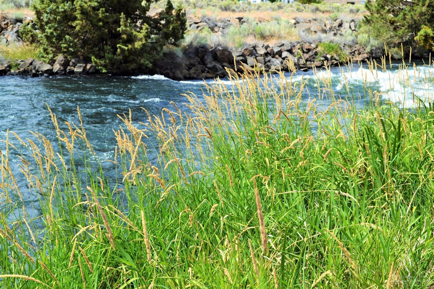 20860 Daniel Duke Way Bend, OR 97701 - Photo 21 of 24 Additional Photo