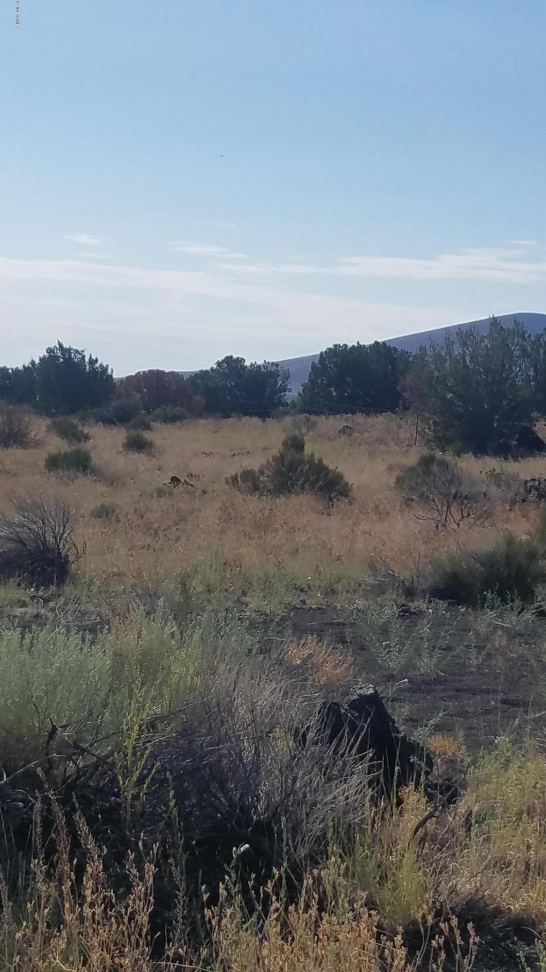 43096 Alpine Ranch Flagstaff, AZ 86004 - Photo 1 of 4 Parcel