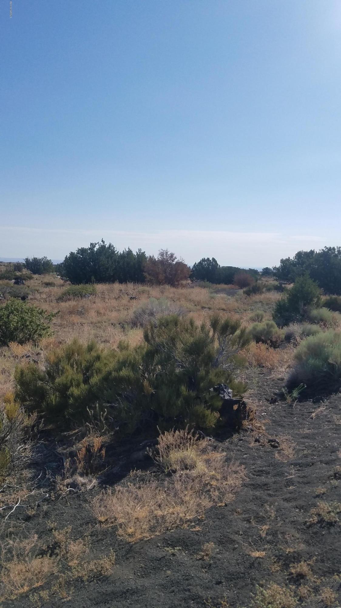 43096 Alpine Ranch Flagstaff, AZ 86004 - Photo 2 of 4 Parcel 1