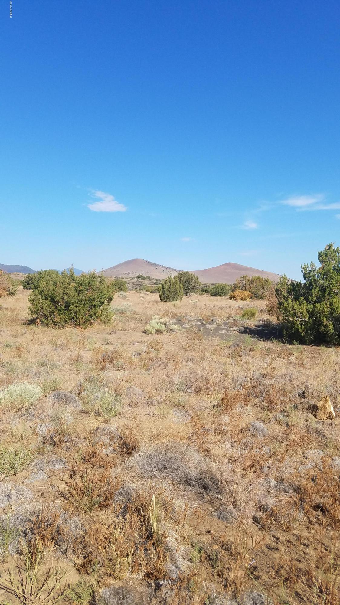 43096 Alpine Ranch Flagstaff, AZ 86004 - Photo 3 of 4 Parcel 2
