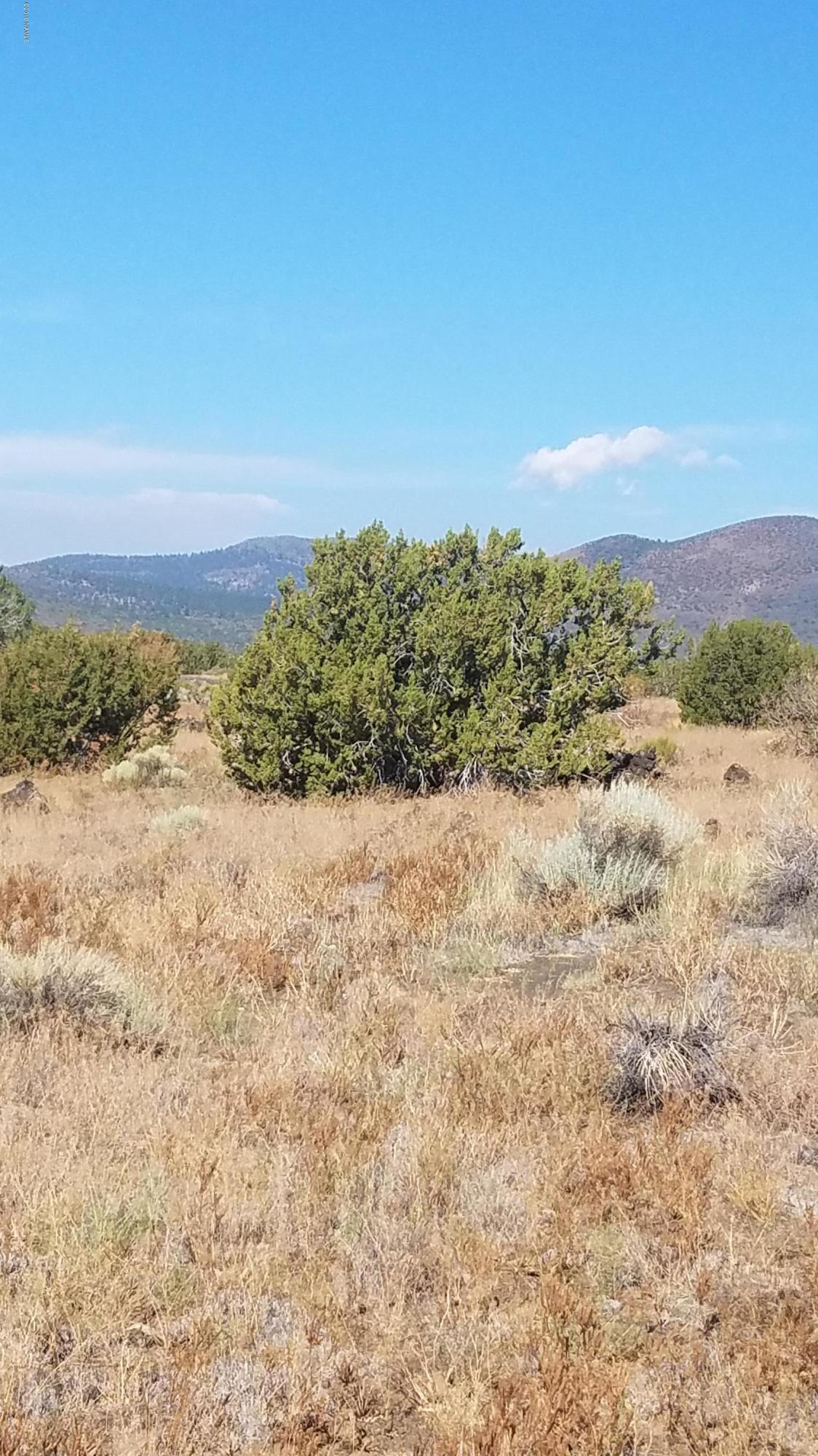 43096 Alpine Ranch Flagstaff, AZ 86004 - Photo 4 of 4 Parcel 3