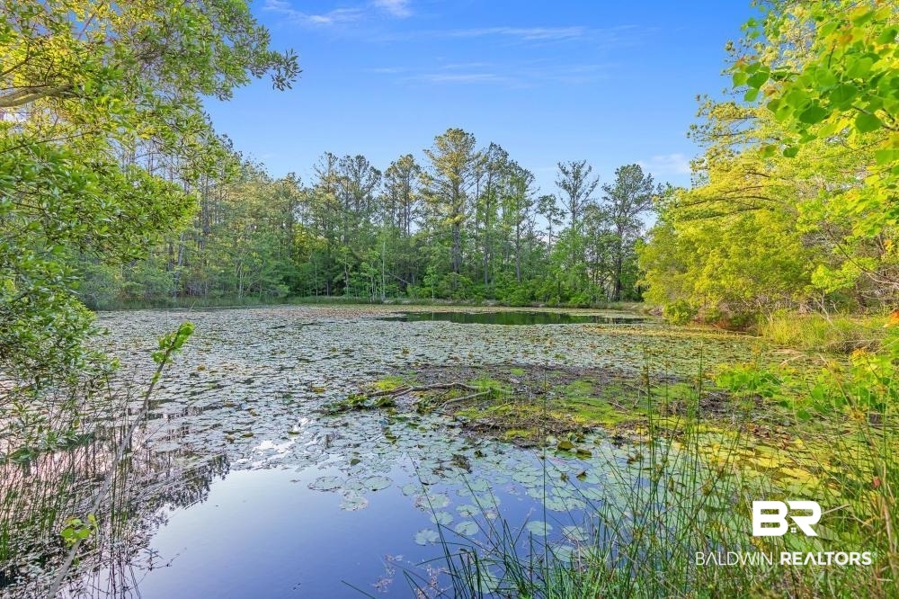 11100 Kali Oka Road Eight Mile, AL 36613 - Photo 13 of 49