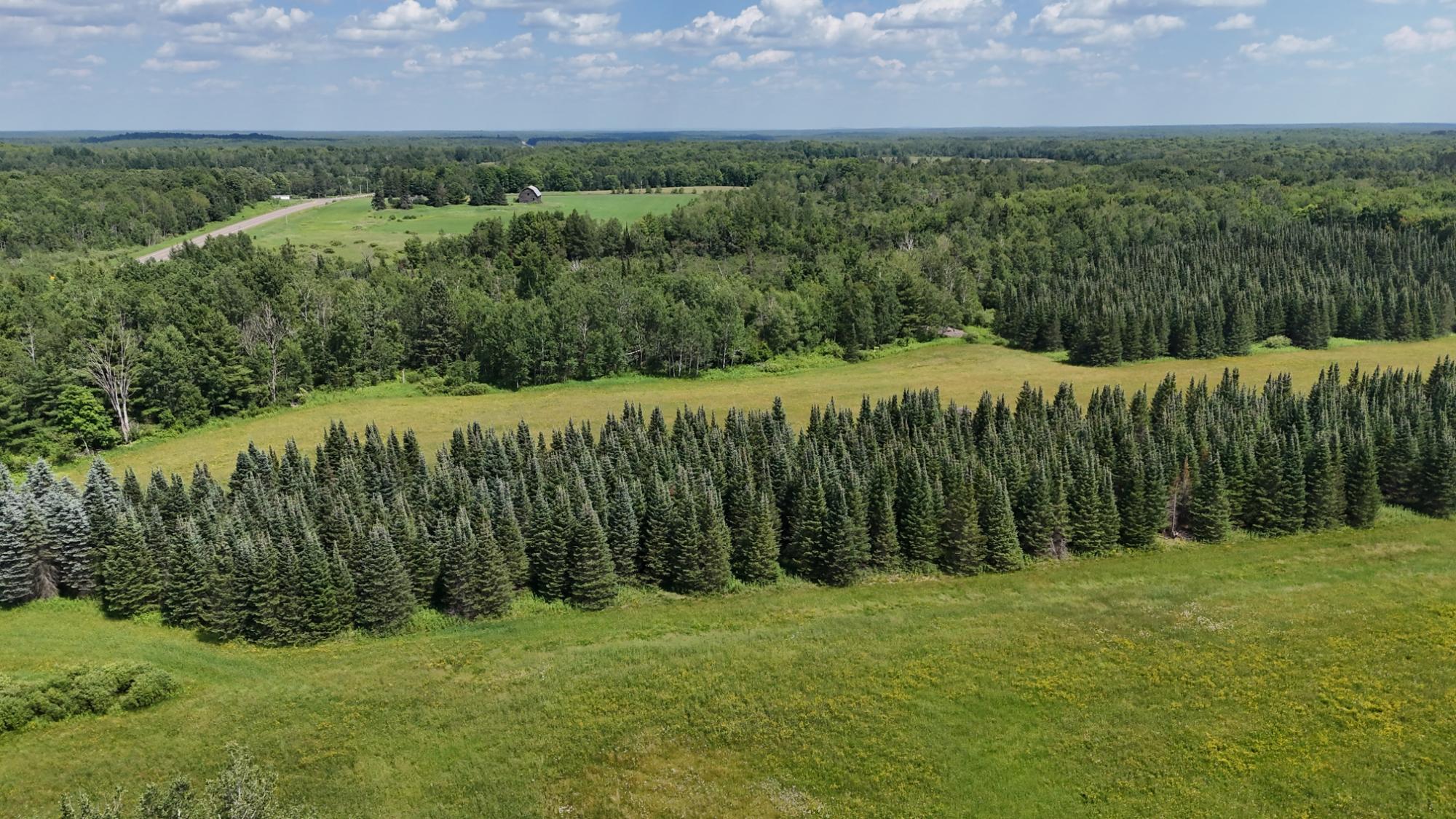 On Hilmar Olson Road Ogema, WI 54459 - Photo 5 of 28