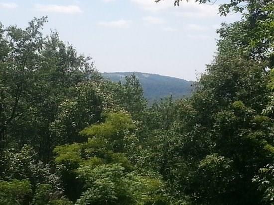 2009 South Ridge Terrace Hidden Valley, PA 15502 - Photo 22 of 23 Gallery Image 22