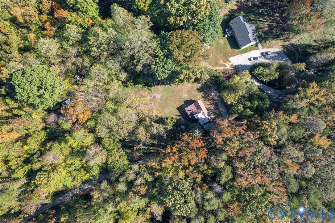 5636 Cartersville Road Powhatan, VA 23139 - Photo 29 of 32 a view of a tree in a garden
