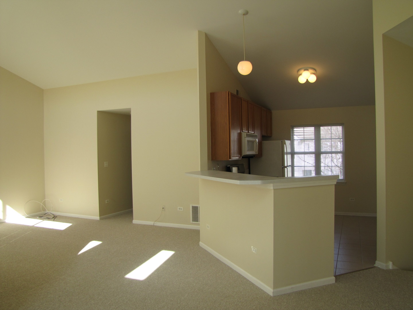 2235 Waterleaf Court, Unit 203 Naperville, IL 60564 - Photo 5 of 16