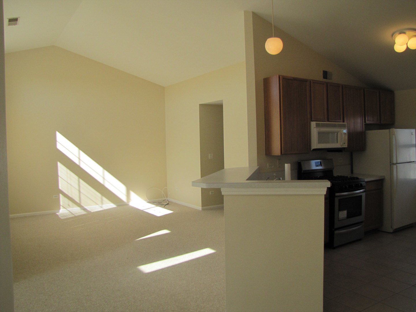 2235 Waterleaf Court, Unit 203 Naperville, IL 60564 - Photo 6 of 16