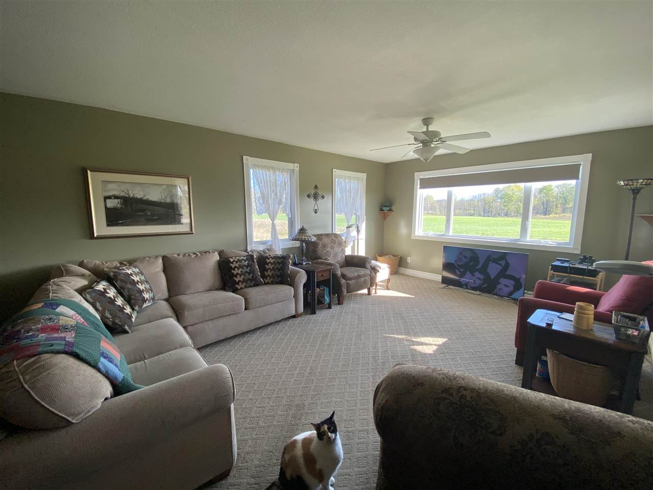 11717 Dover Road Beaverton, MI 48612 - Photo 5 of 31