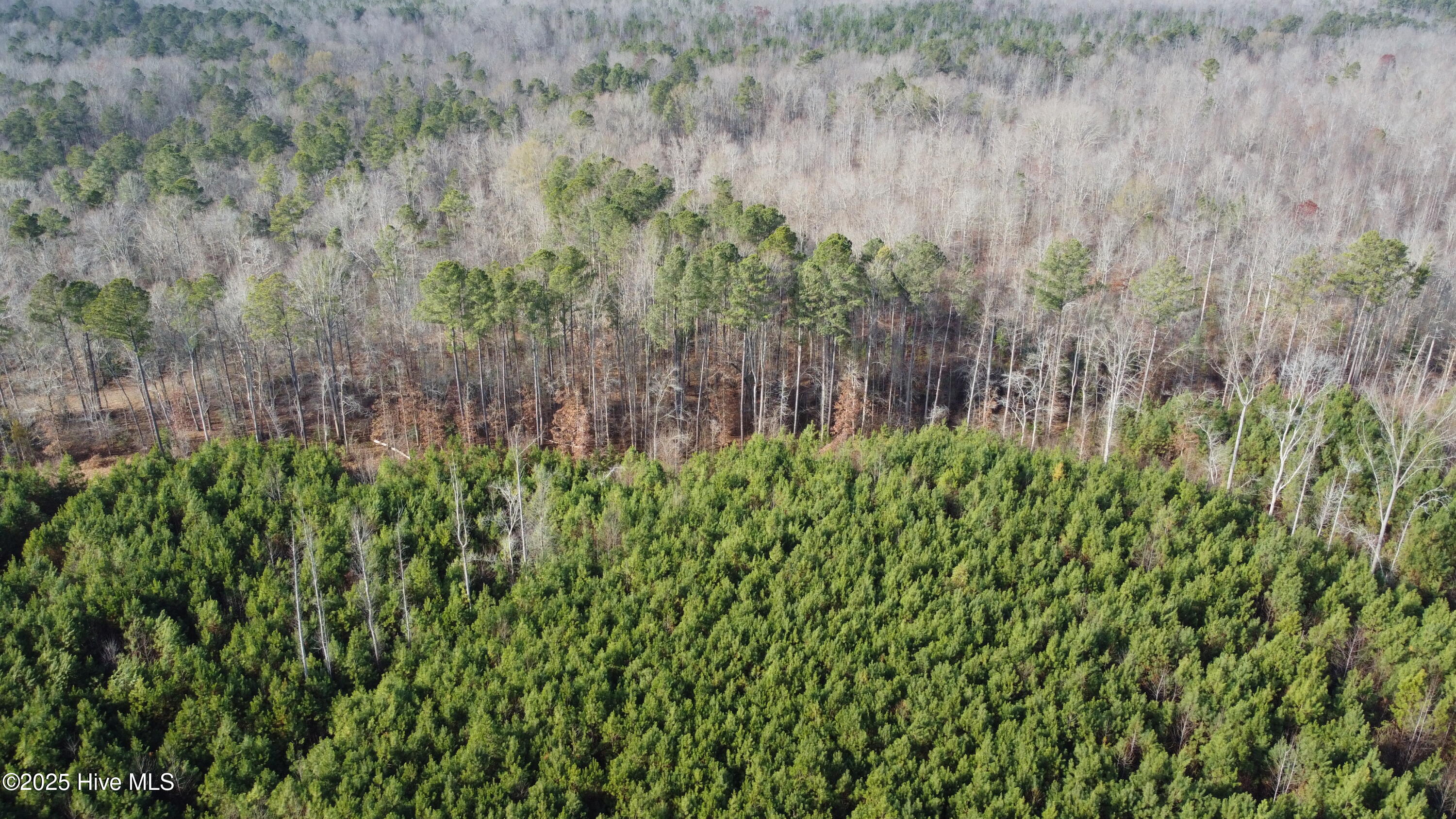 4884 Taylors Gin Road Castalia, NC 27816 - Photo 34 of 48 DJI_0700