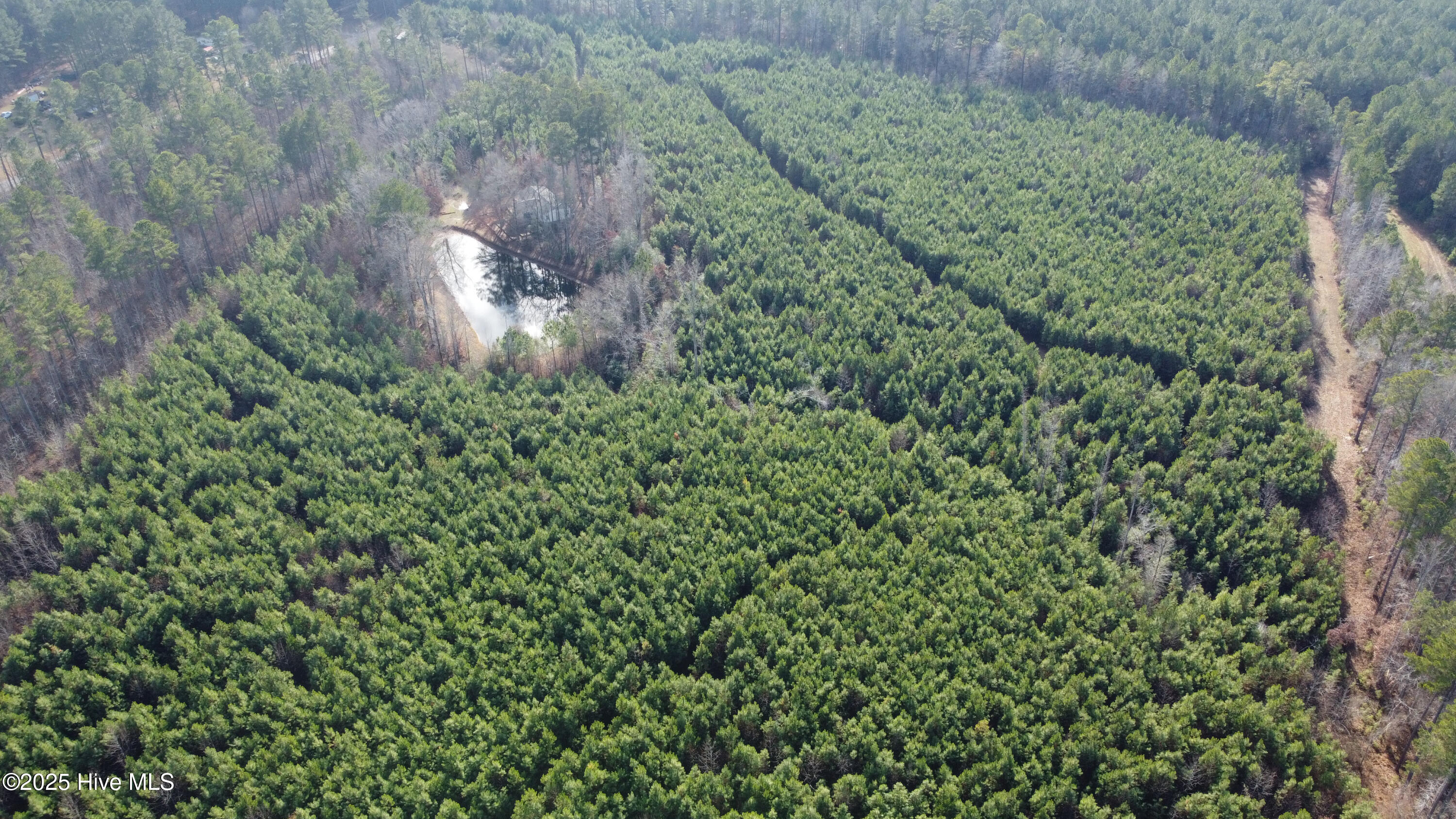 4884 Taylors Gin Road Castalia, NC 27816 - Photo 36 of 48 DJI_0702 copy