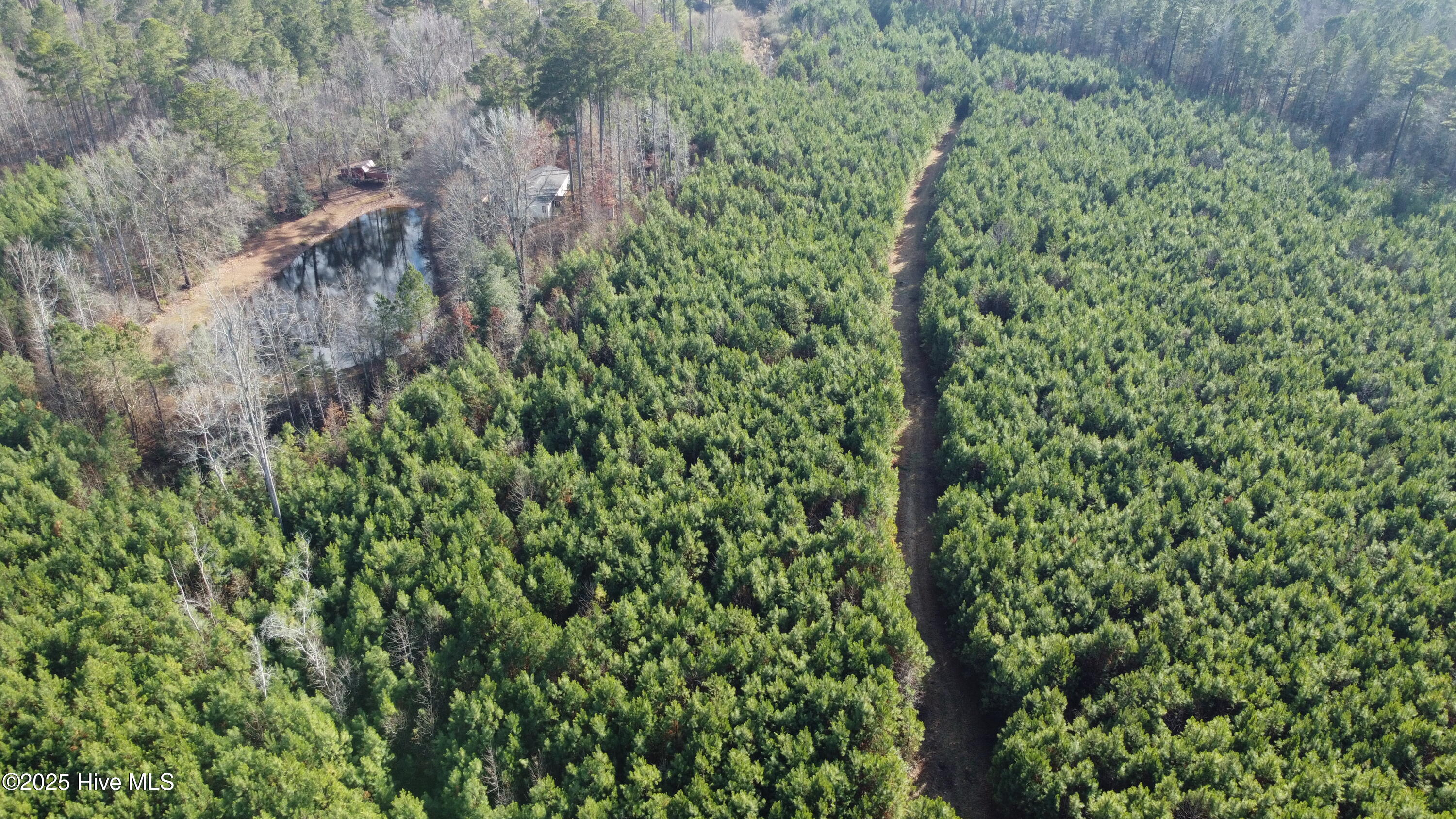 4884 Taylors Gin Road Castalia, NC 27816 - Photo 41 of 48 DJI_0706