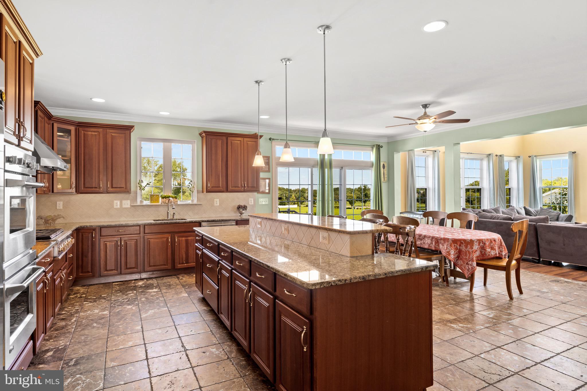 803 Derius Drive Mickleton, NJ 08056 - Photo 20 of 55 Granite Countertops