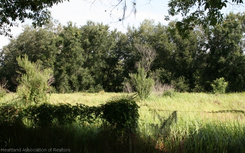 2581 Polk Road Bowling Green, FL 33834 - Photo 13 of 22 Gallery Image 13