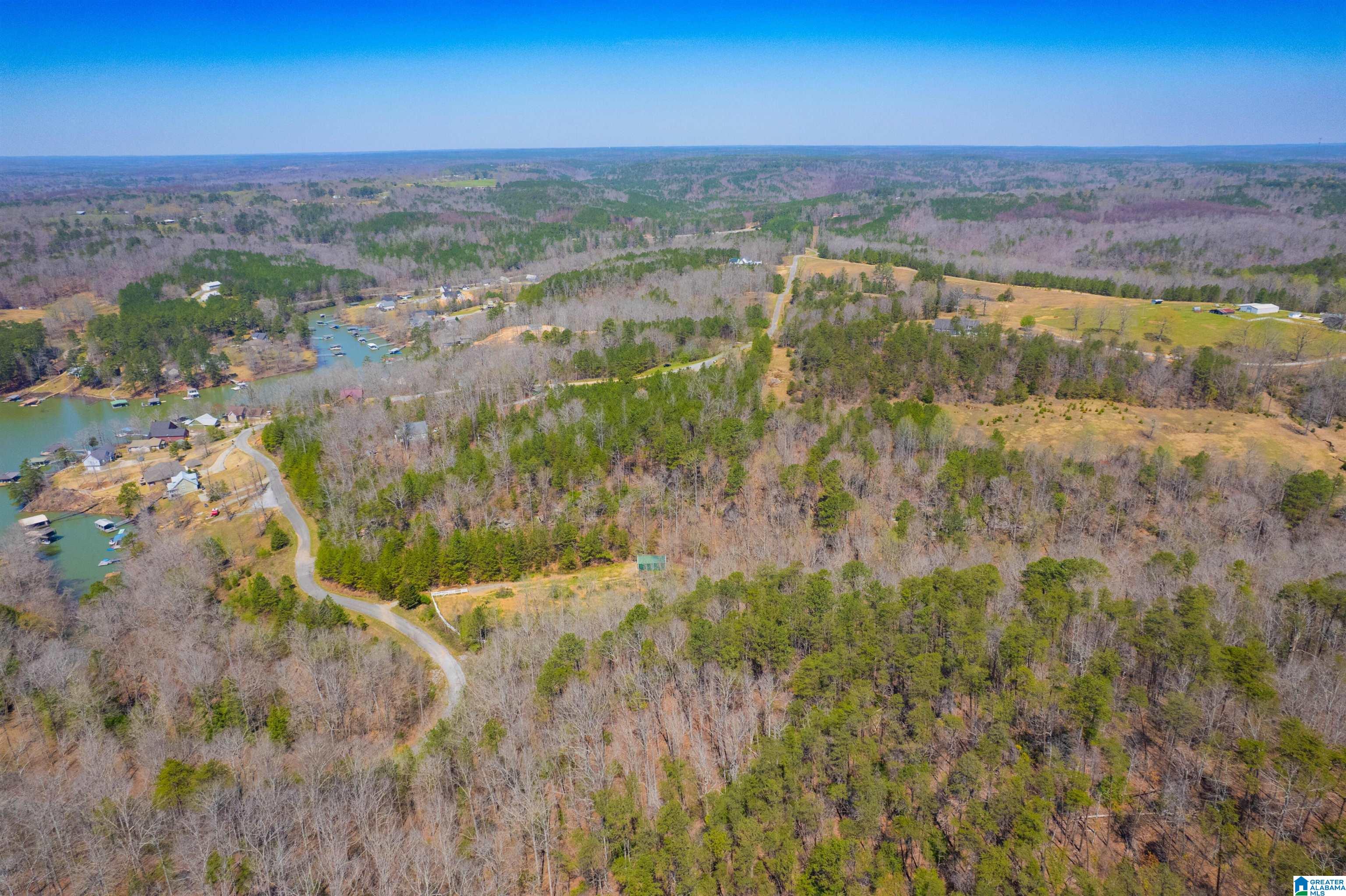 0 Lakeview Lane Houston, AL 35572 - Photo 8 of 15