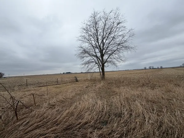 $24,900 | 10312 North Co Road 3850E, Mason City, IL 62664