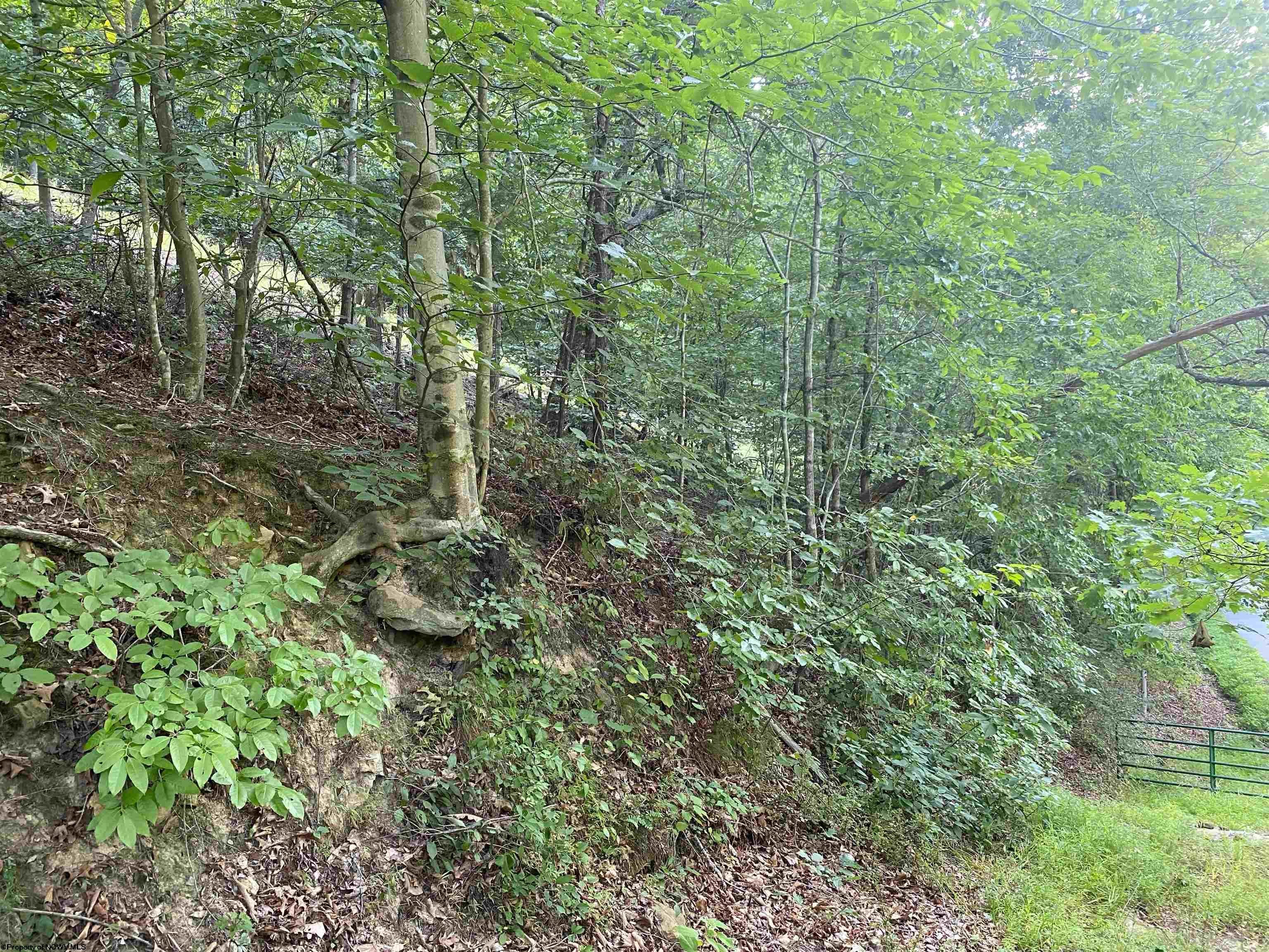 Gallery Image 6