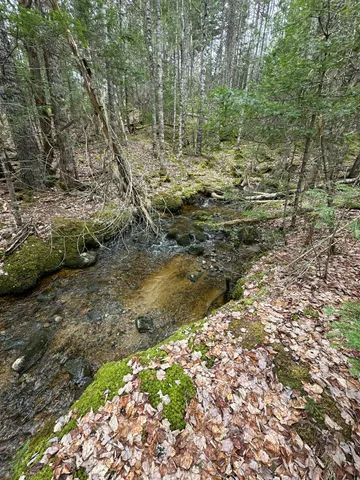 $625,000 | 82 Station Road, Jonesboro, ME 04648