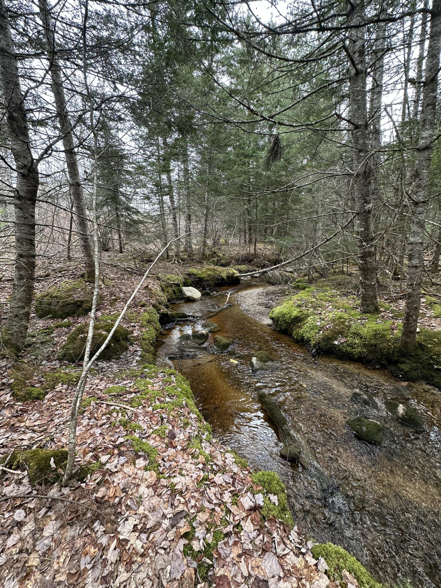 82 Station Road Jonesboro, ME 04648 - Photo 88 of 103 Brook 2