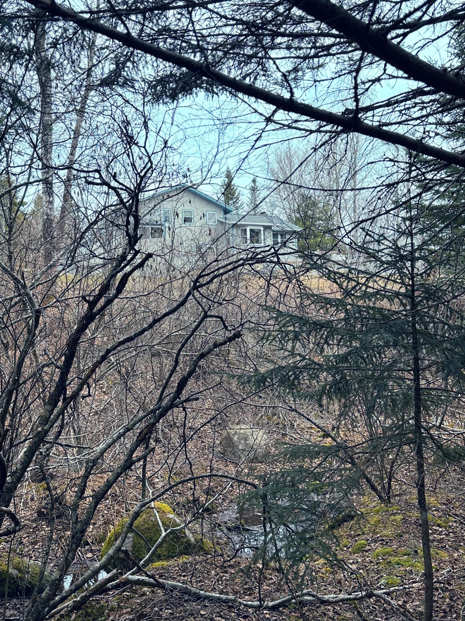82 Station Road Jonesboro, ME 04648 - Photo 89 of 103 View of House from Brook