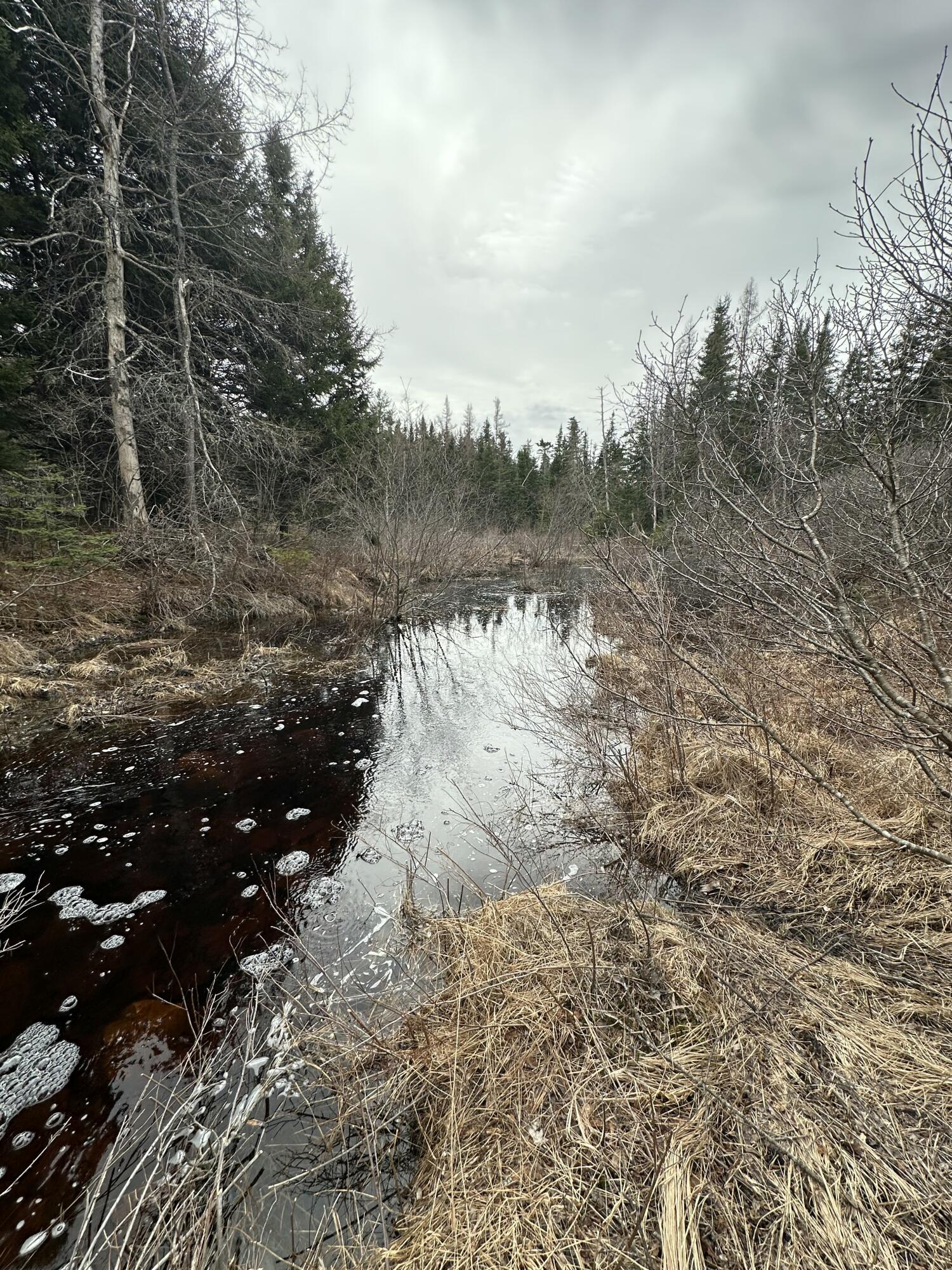 82 Station Road Jonesboro, ME 04648 - Photo 90 of 103 IMG_7302