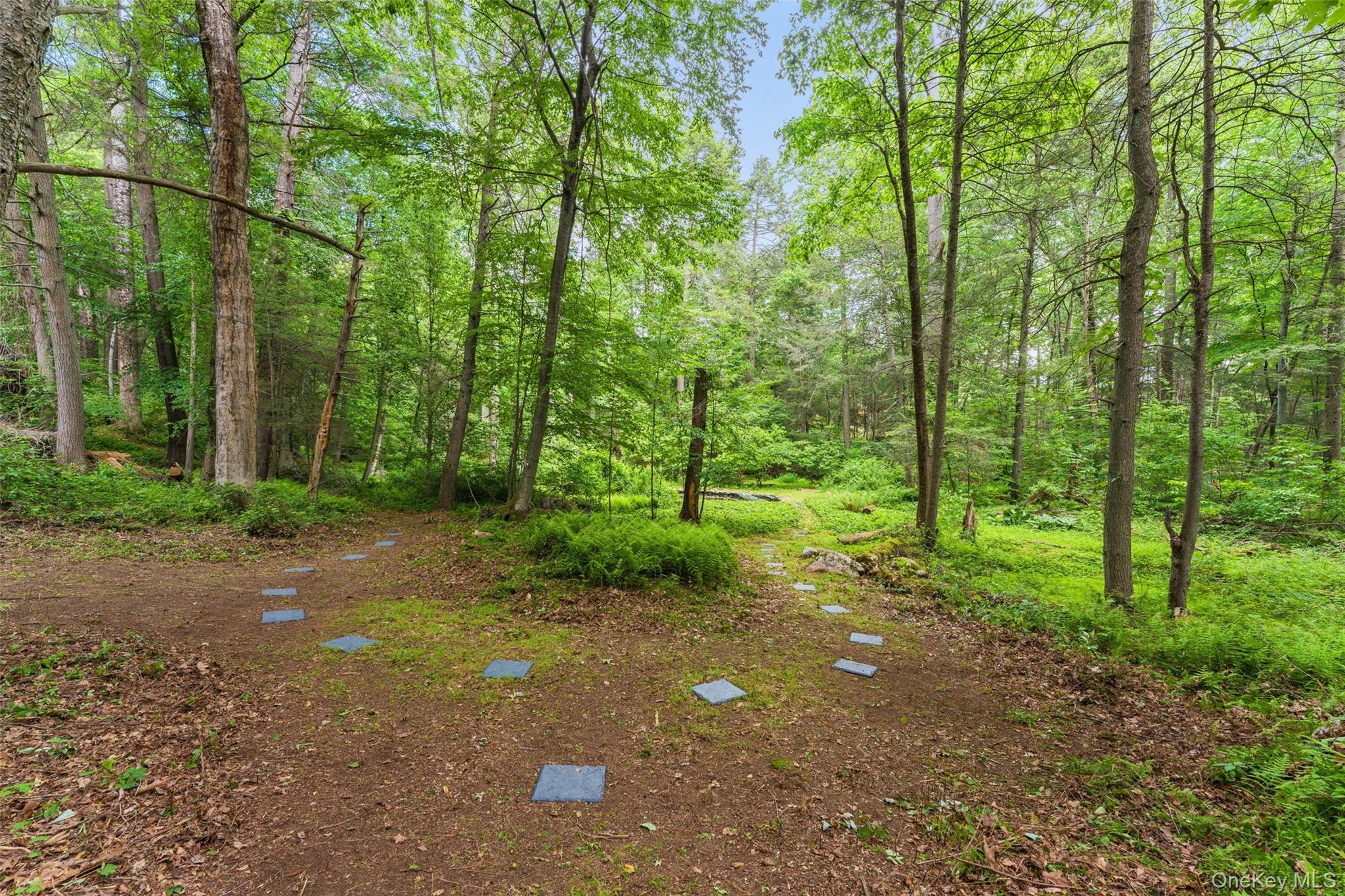 25 Cabin Ridge Road Chappaqua, NY 10514 - Photo 31 of 39