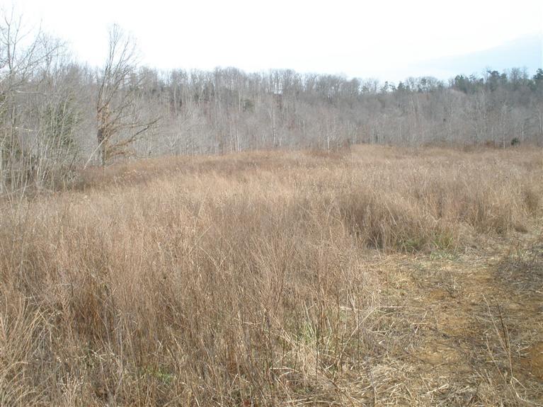 302 Hominy Hill Road Nancy, KY 42544 - Photo 3 of 7 Additional Photo