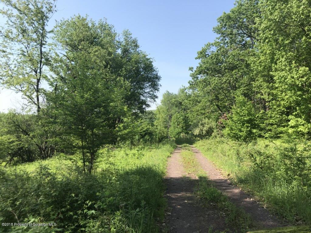 451 Flat Rock Road Forest City, PA 18421 - Photo 1 of 20 1400' driveway
