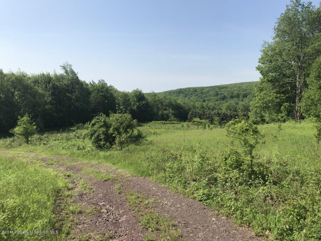 451 Flat Rock Road Forest City, PA 18421 - Photo 11 of 20 field (2)
