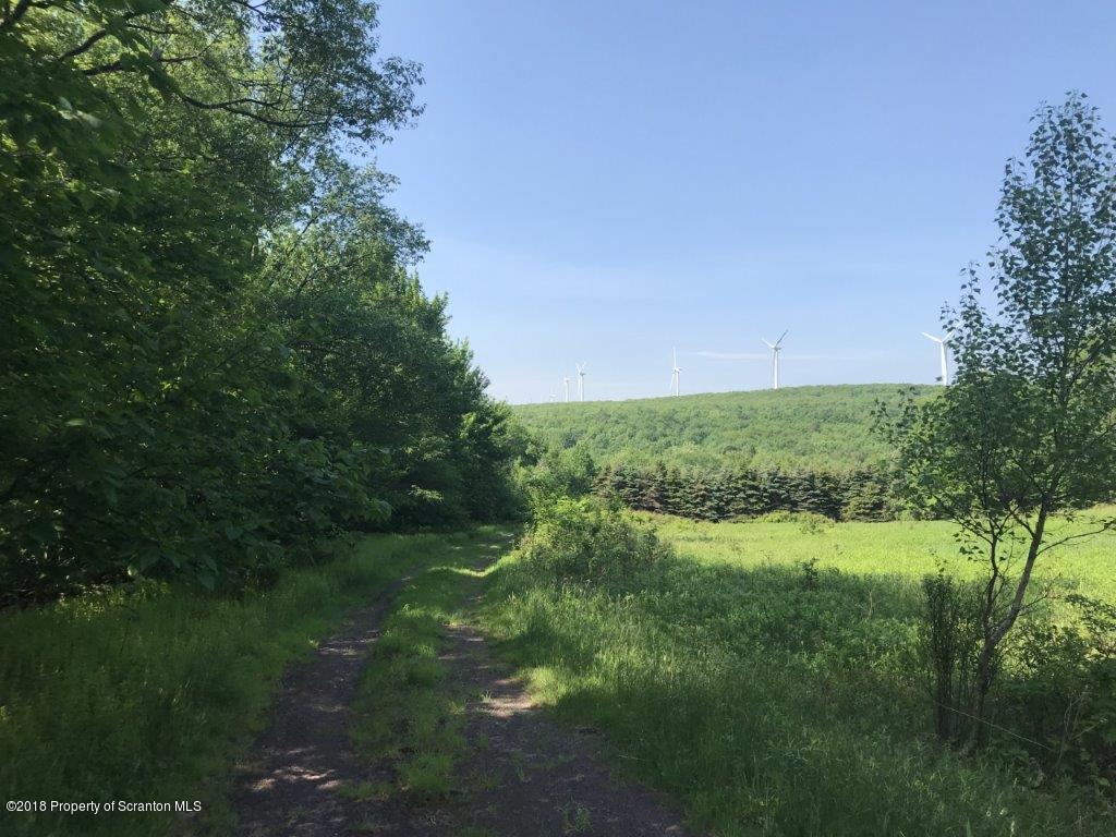 451 Flat Rock Road Forest City, PA 18421 - Photo 12 of 20 field