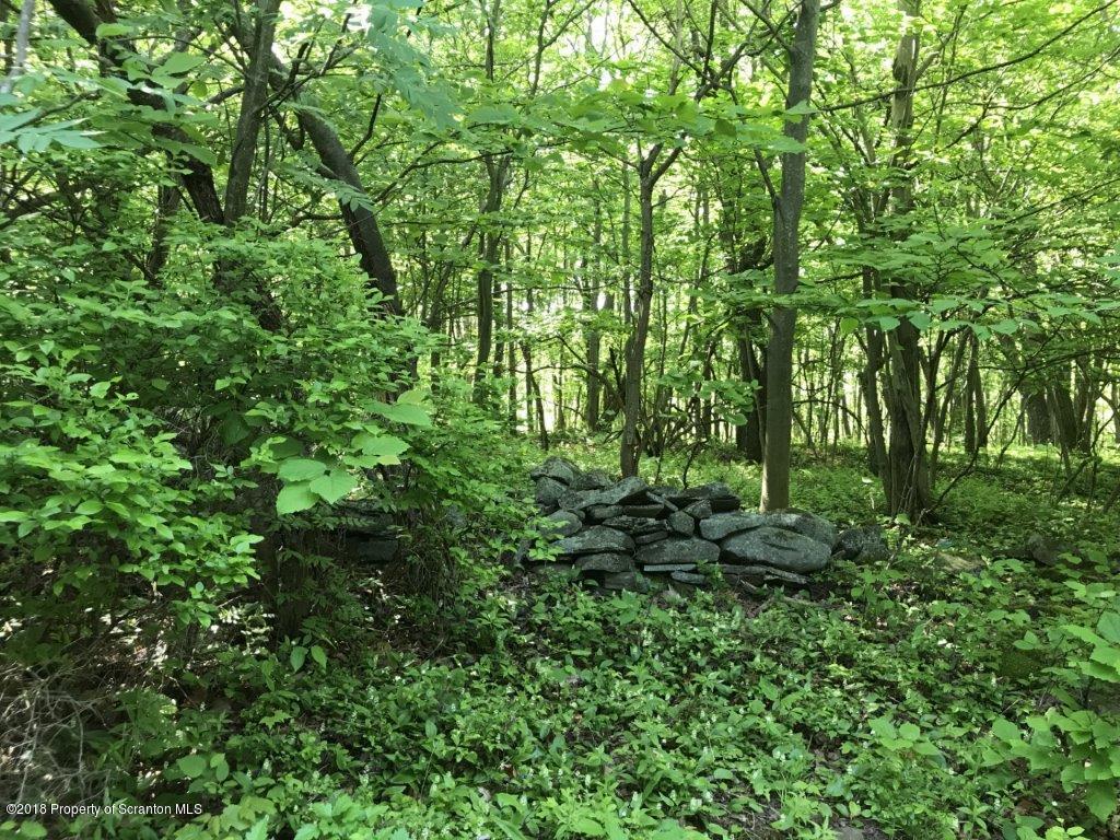 451 Flat Rock Road Forest City, PA 18421 - Photo 18 of 20 stone wall boundary