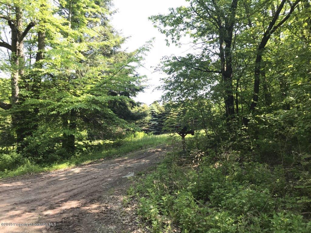 451 Flat Rock Road Forest City, PA 18421 - Photo 19 of 20 entrance