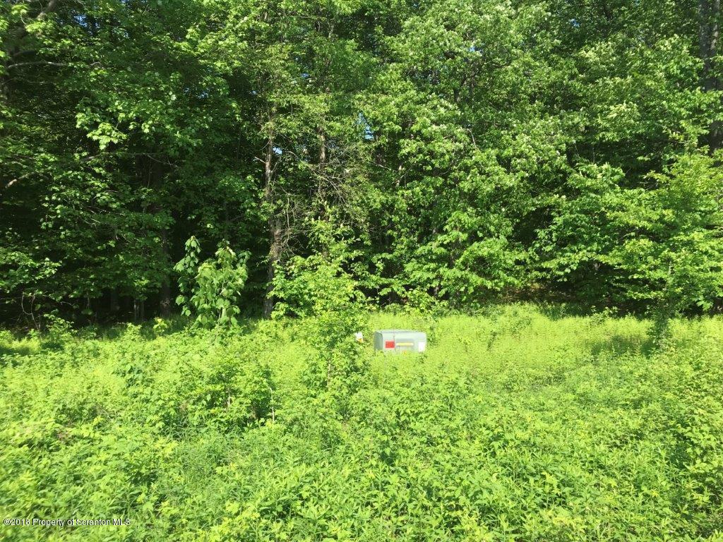 451 Flat Rock Road Forest City, PA 18421 - Photo 20 of 20 underground electric