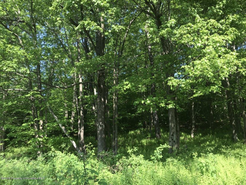 451 Flat Rock Road Forest City, PA 18421 - Photo 5 of 20 Timber