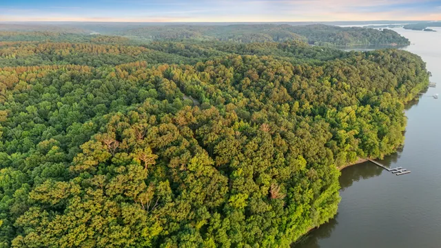 a view of a yard with an trees