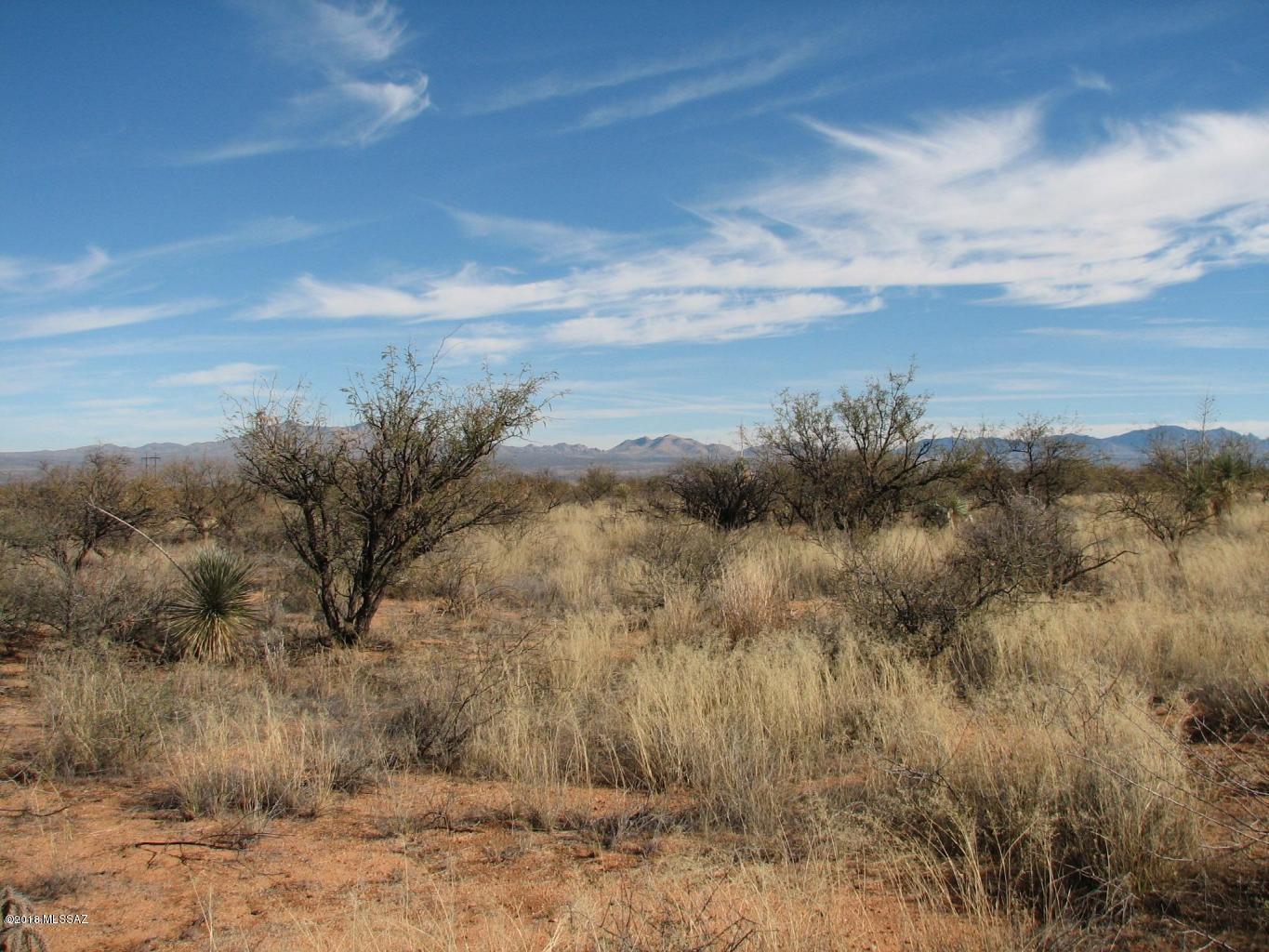 40.69-acre 40.69-acre Ortiz Road Douglas, AZ 85607 - Photo 2 of 2
