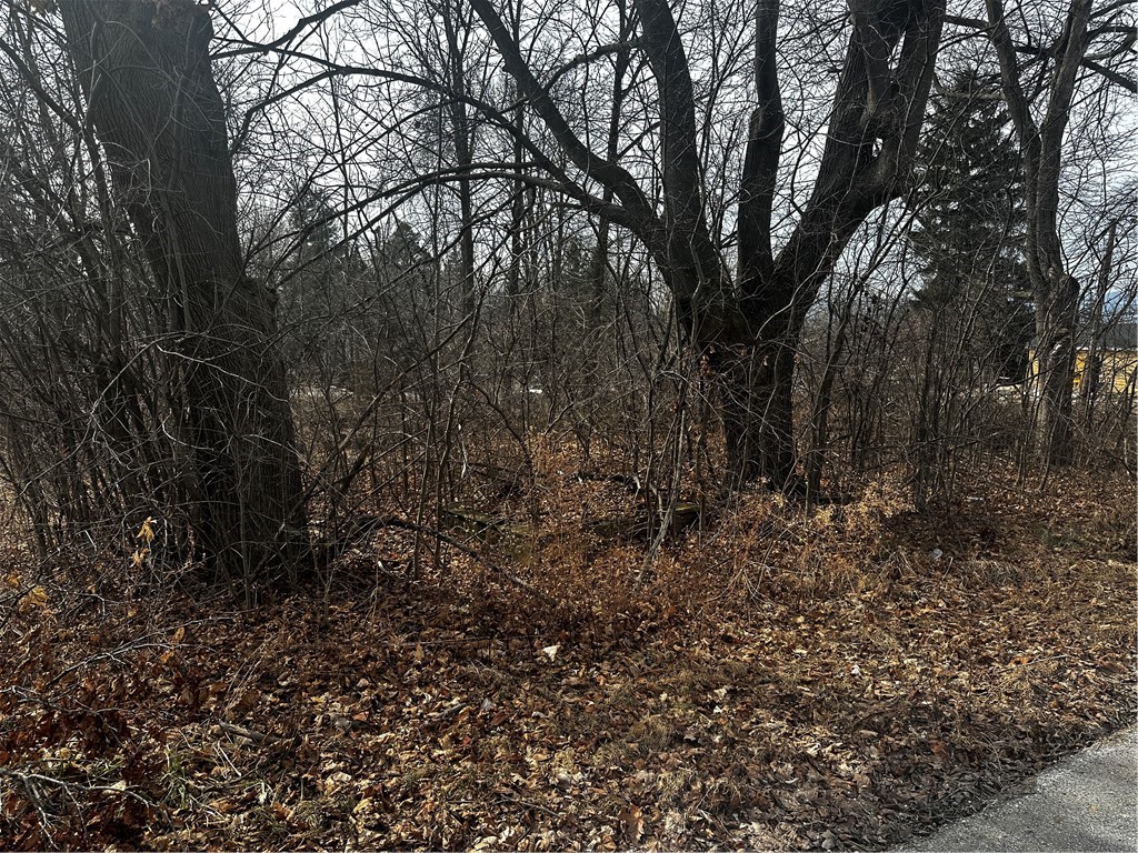 4527 Wildflower Drive Gorham, NY 14424 - Photo 1 of 8