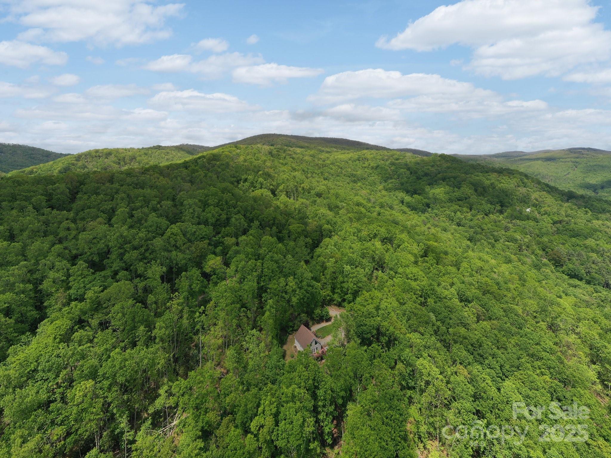 25 Lick Log Ridge Fairview, NC 28730 - Photo 2 of 34 a aerial view of a house with a yard and garden in the back