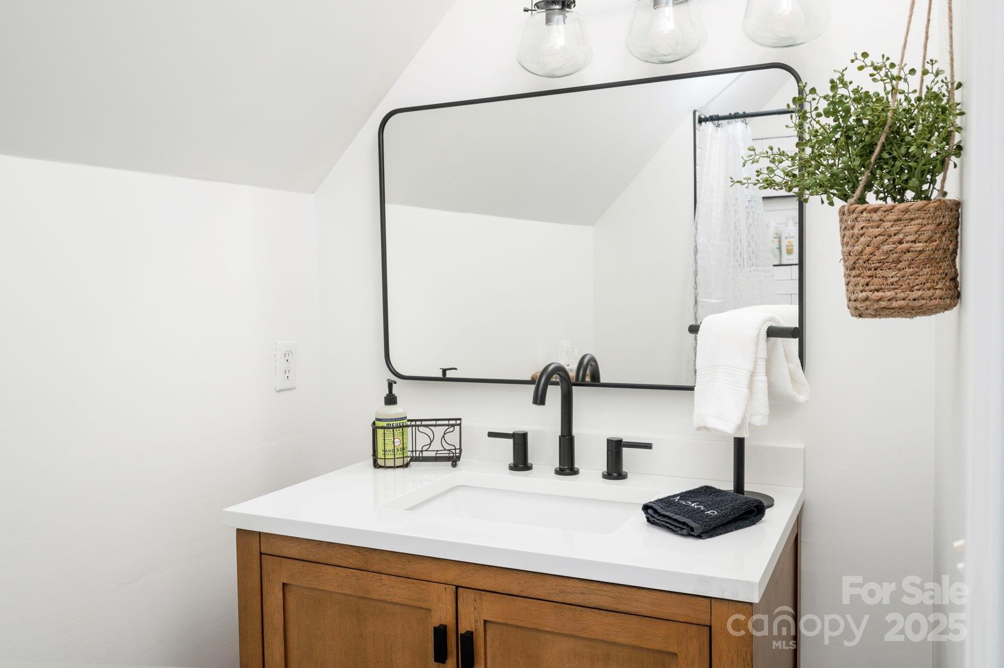 25 Lick Log Ridge Fairview, NC 28730 - Photo 25 of 34 a bathroom with a sink and a mirror