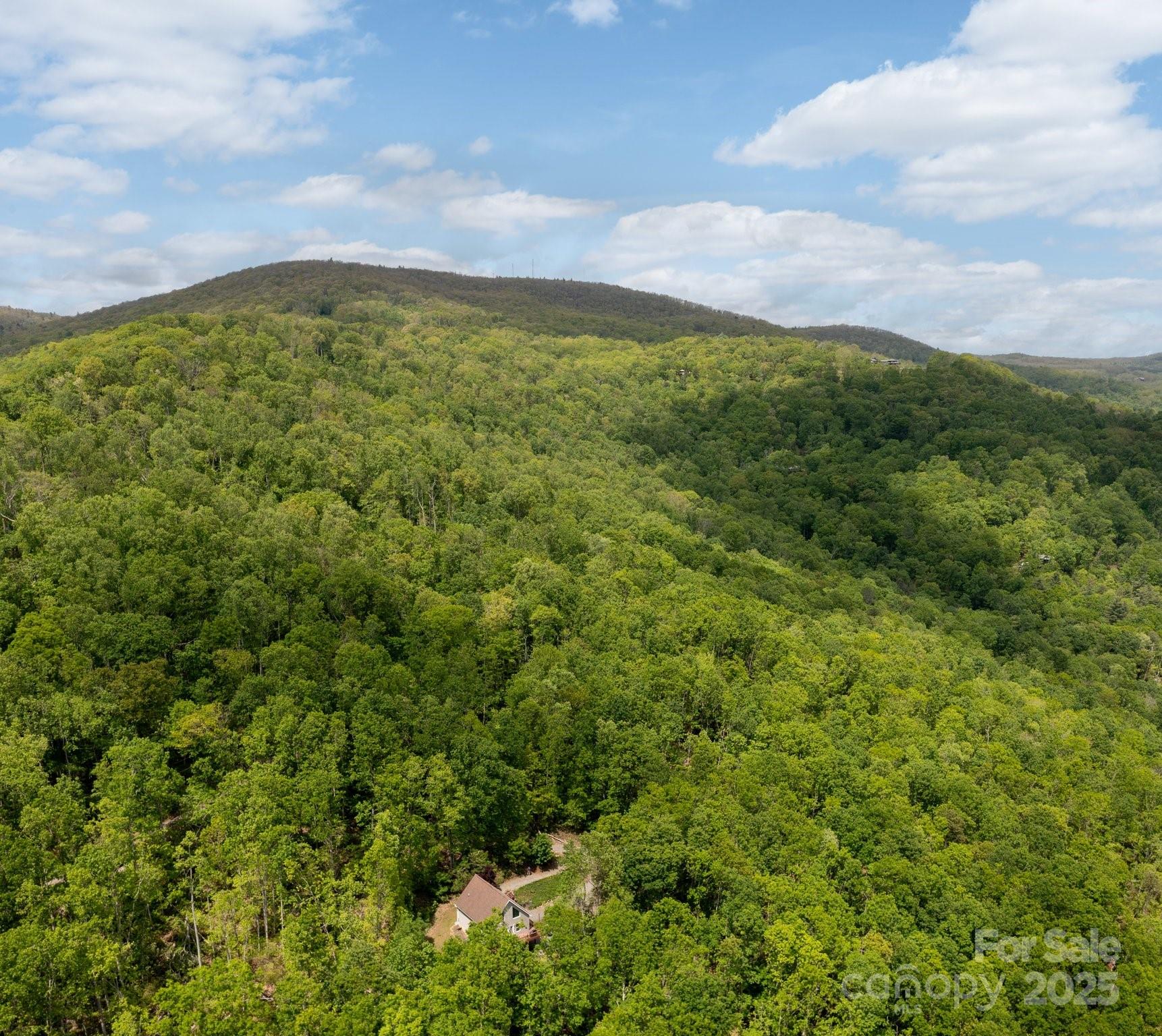 25 Lick Log Ridge Fairview, NC 28730 - Photo 34 of 34 a view of a green field with lots of bushes