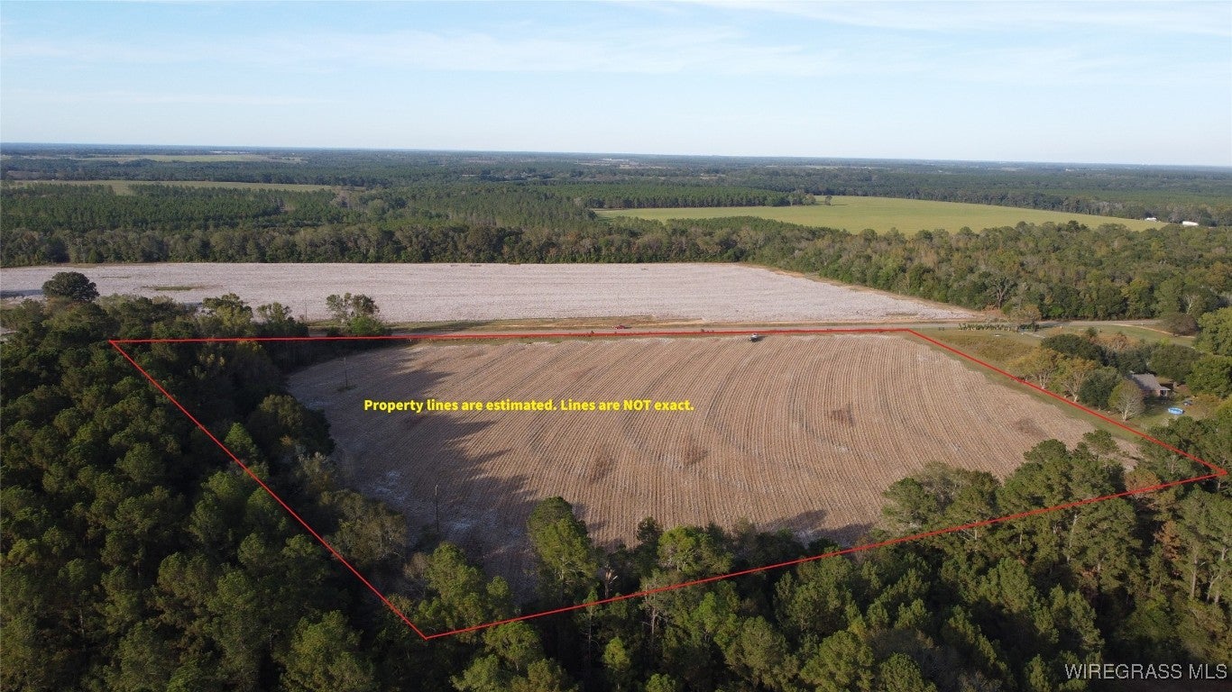 4 East County Road 4 Road Black, AL 36314 - Photo 3 of 6 Gallery Image 3