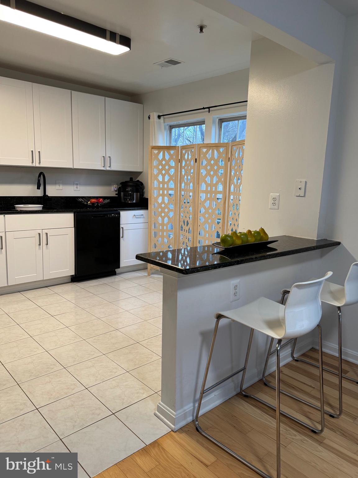 18310 Feathertree Way, Unit 101 Montgomery Village, MD 20886 - Photo 9 of 31 a kitchen with a sink and cabinets