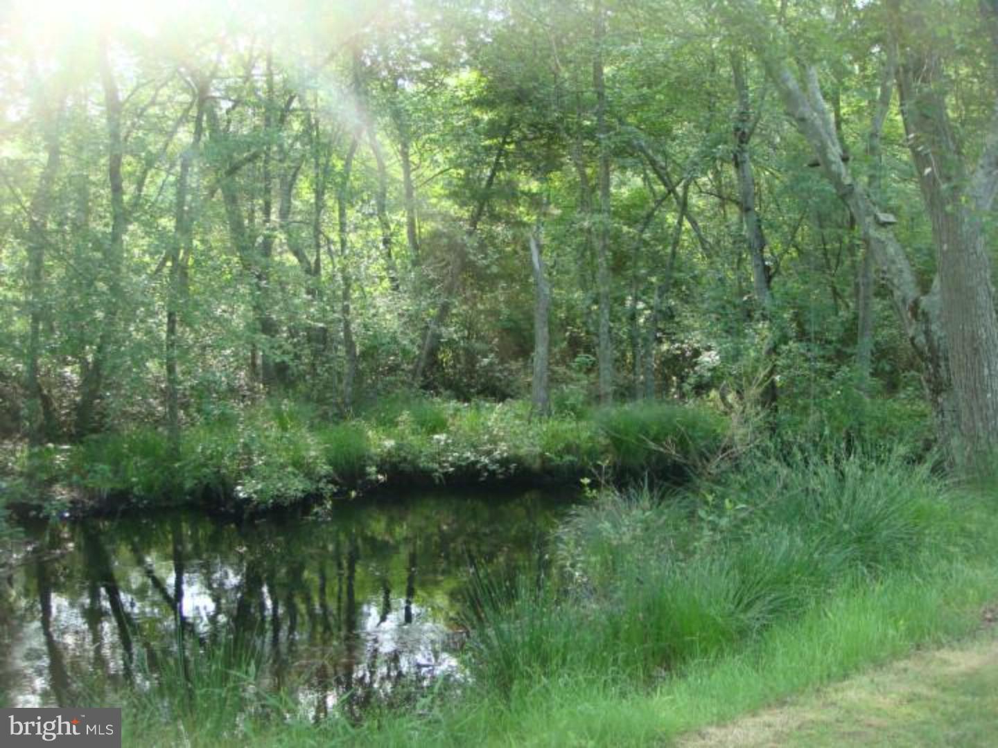 283 Ridge Road Browns Mills, NJ 08015 - Photo 8 of 25