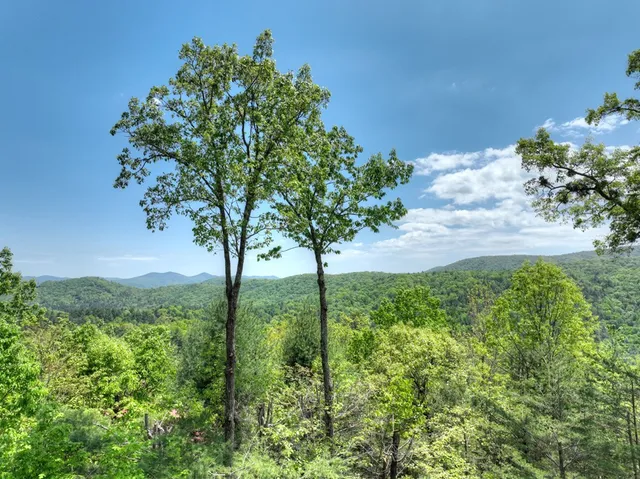 $1,099,999 | 46 Cochise Road, Cherry Log, GA 30522