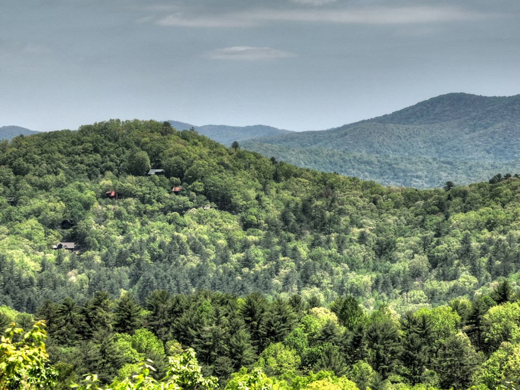 46 Cochise Road Cherry Log, GA 30522 - Photo 55 of 65