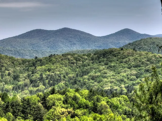 $1,099,999 | 46 Cochise Road, Cherry Log, GA 30522