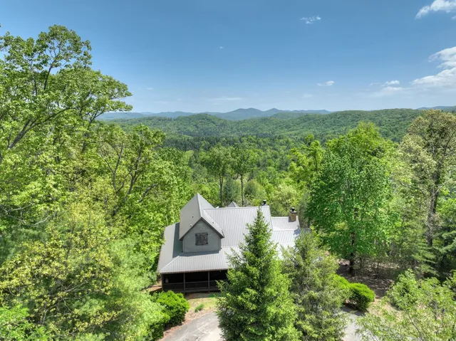 $1,099,999 | 46 Cochise Road, Cherry Log, GA 30522