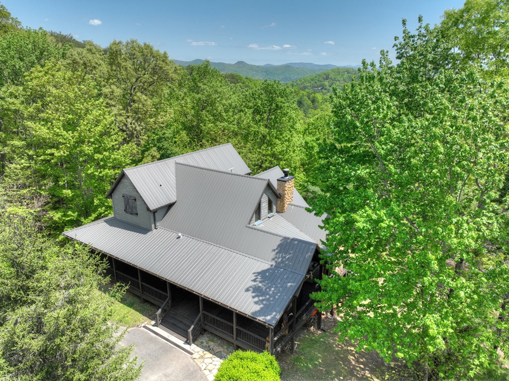 46 Cochise Road Cherry Log, GA 30522 - Photo 61 of 65