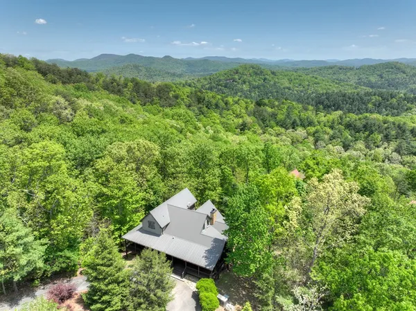 $994,999 | 46 Cochise Road, Cherry Log, GA 30522