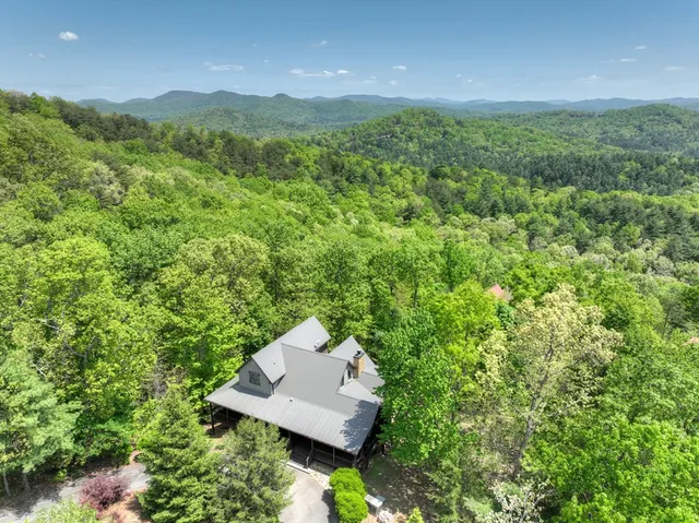 $1,099,999 | 46 Cochise Road, Cherry Log, GA 30522