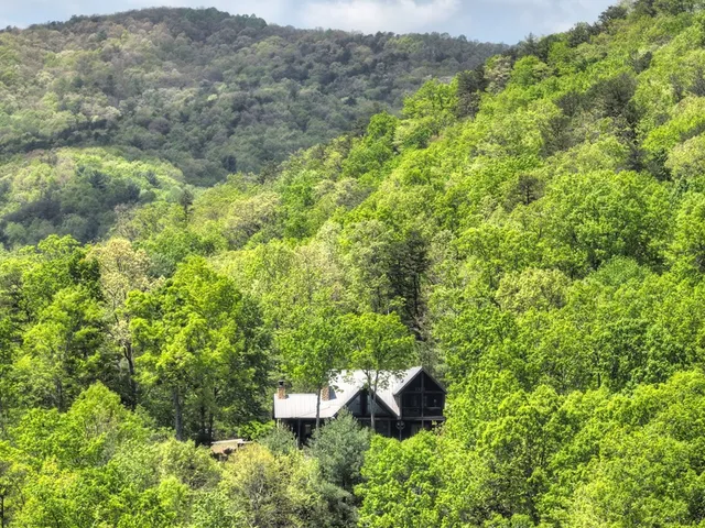 $1,099,999 | 46 Cochise Road, Cherry Log, GA 30522